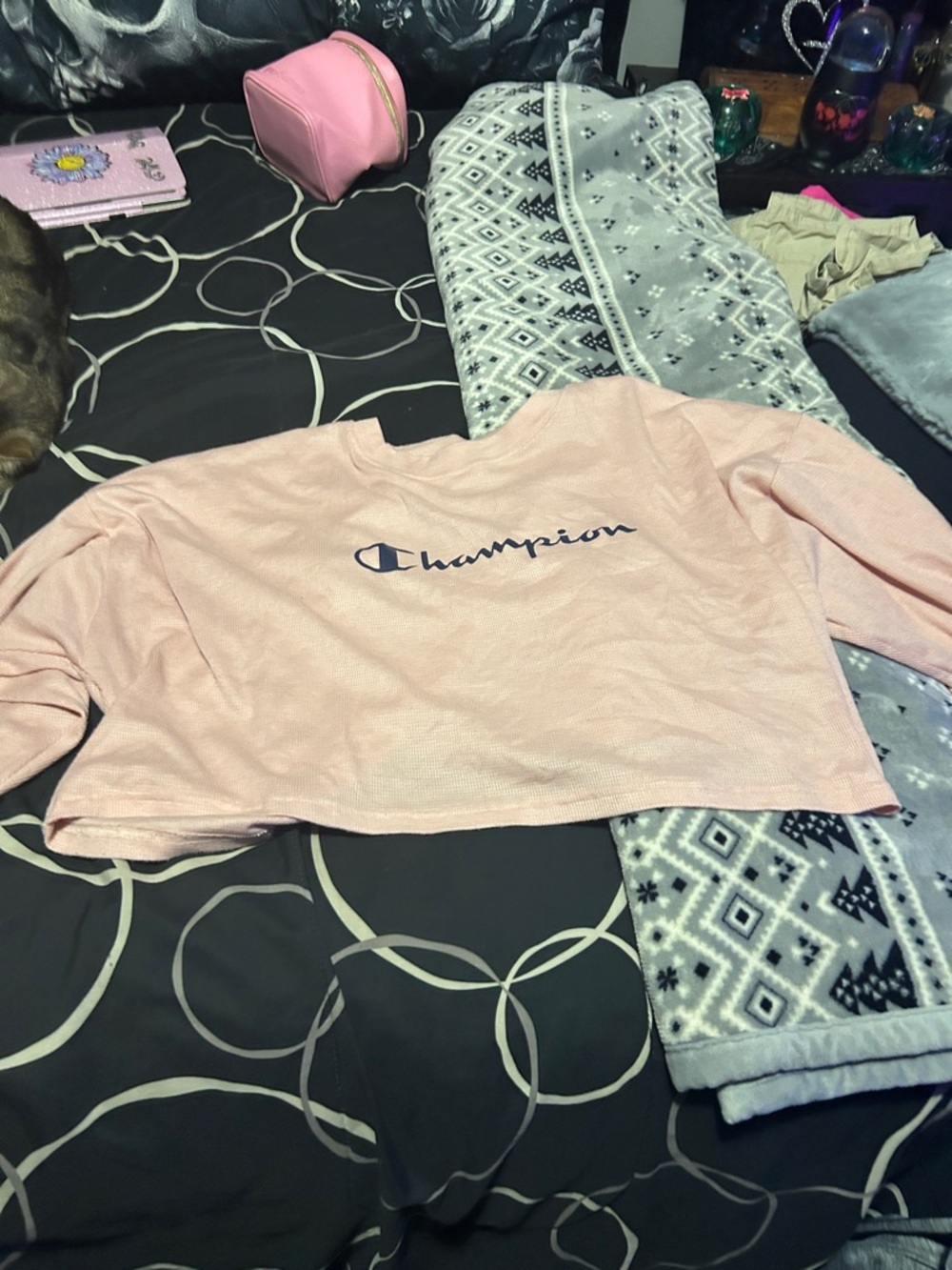 Champion Light Pink Cropped long sleeve top